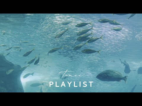 ［Playlist］ひとり静かな水族館