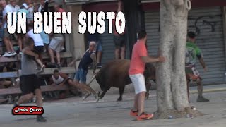 ESPECTACULAR TORO DE EL PARRALEJO