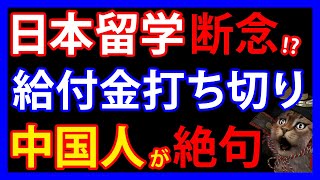 8/2 「留学を断念する外国人が増える」中国人学生が日本に絶望したワケとは