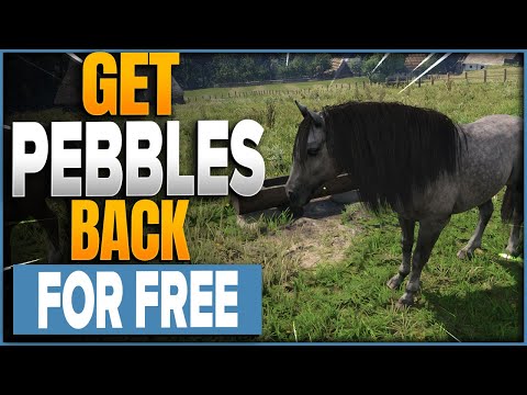 How To Get Pebbles Back For FREE In Kingdom Come Deliverance 2