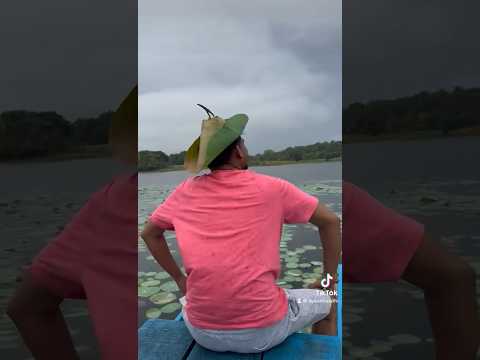 #lotus #leaf hat๐ #srilanka #jacksparrow ๐