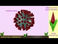 Impact of Mutations on Virus Transmission