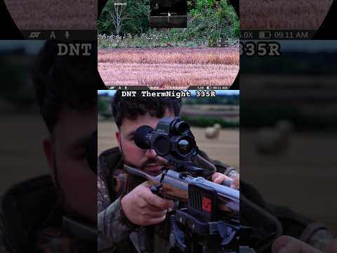 The Silent Assassin: .22LR Subsonic Rabbit Hunting | DNT ThermNight 336R
