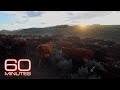 Green River Drift Cattle Drive Facts
