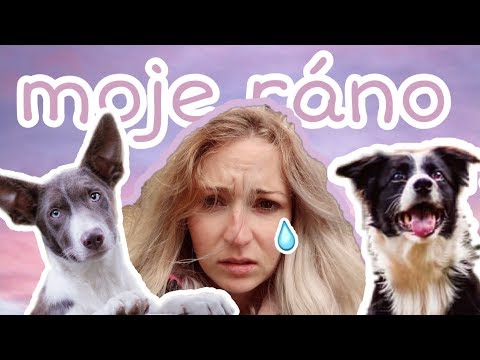Moja ranná rutina SO PSAMI | život so psom