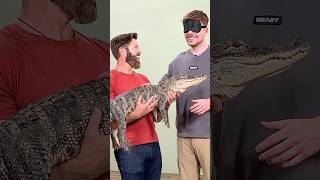 Guess The Animal