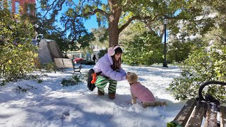 a snow day in savannah (it doesn't snow here)