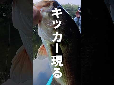 肝心の一匹を釣る方法