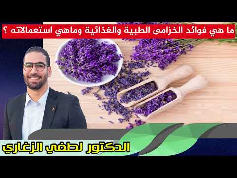 ما هي فوائد الخزامى الطبية والغذائية وماهي استعمالاته ؟ الدكتور لطفي الزغاري