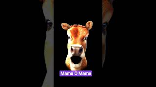 Mama O Mama Mama