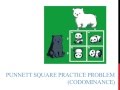 Punnett Square Practice: Codominance Challenges