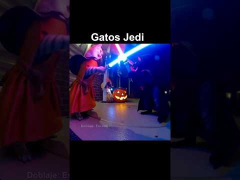 GATOS JEDI