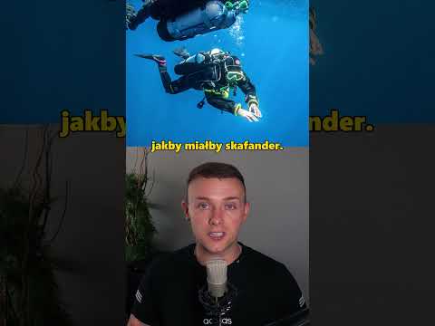 Czy Pingwiny Mają Gładką Skórę?