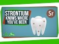 Understanding Strontium in Anthropology