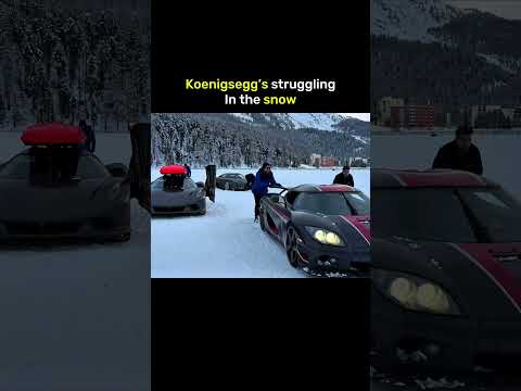 Bugatti is chilling 💀