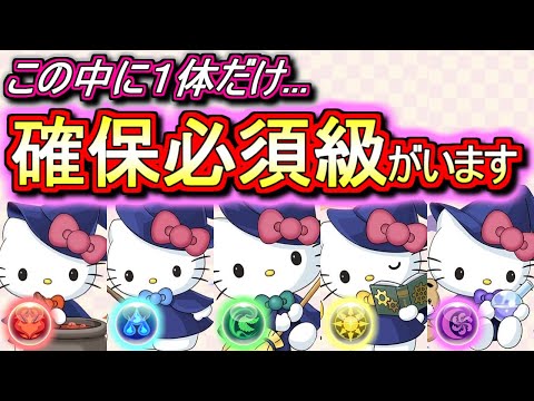 【環境が変わります】冗談抜きで確保しないと後悔するレベル。。大魔女ハローキティの性能が色々とおかしいです。【パズドラ】