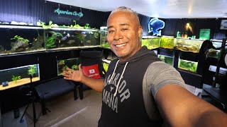 Every Fish Tank in my Home **Fishroom Tour**