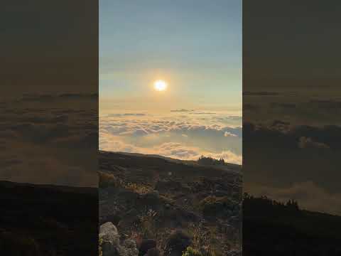 🌄 Sunset above the clouds at Haleakalā 🌺10,000 ft up, the sky turns into pure magic. ✨#Haleakala