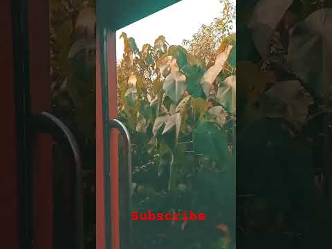 #Ae Dil Hai muskil ||#_shorts video||_#safr ka trending video//