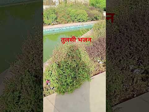 # तुलसी भजन # अंदर बैठे है कन्हैया # शॉर्ट वीडियो #@🪔🪴🌺