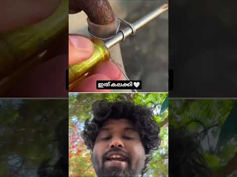 Idea Lucky Video