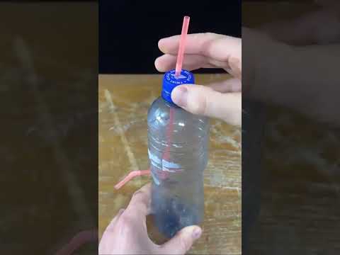 Eksperimen Unik dengan Botol Plastik