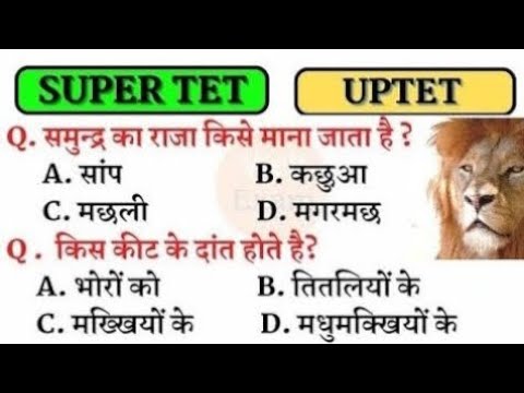 UPPET 2024 || UPTET 2024 || Super TET 2024 Important Questions || Super TET || UP LEKHPAL || REET