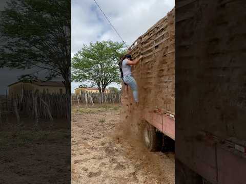 Tirando as grades  pra poder derrubar a carga de bagaço  de cana