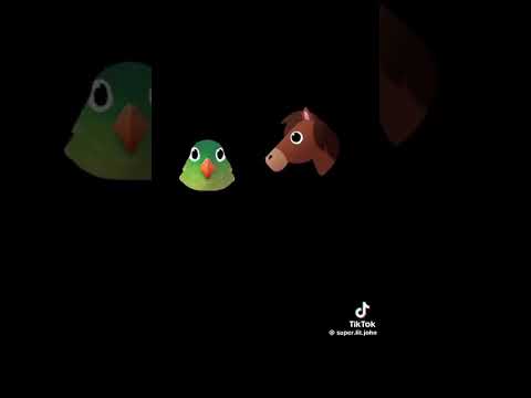 Ahahahahahahahha😂😂😂😂😂😂😂😂😂😂