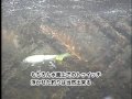 NORIES ヒラクランクシリーズ（H-130） 田辺哲男 西村嘉高 - YouTube