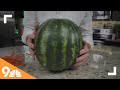 Watermelon Challenge Science Concepts