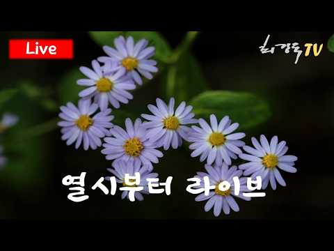 [10시부터 라이브] 대통령과 정청래 의원의 만남 / 우리는 이제 무엇을 해야 할까요 / 맑은 가을 하늘을 찾아서 떠난 길 — 최강욱TV