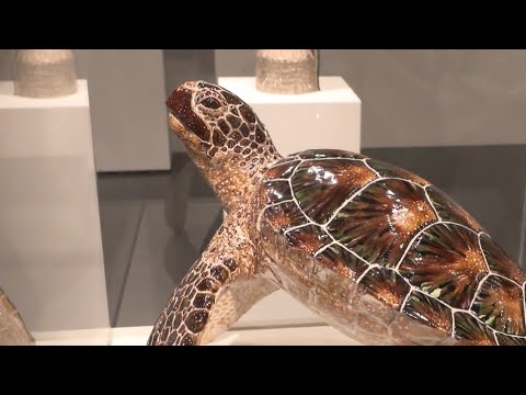 京都府の今井完眞さんの作品が大賞　パラミタ陶芸大賞