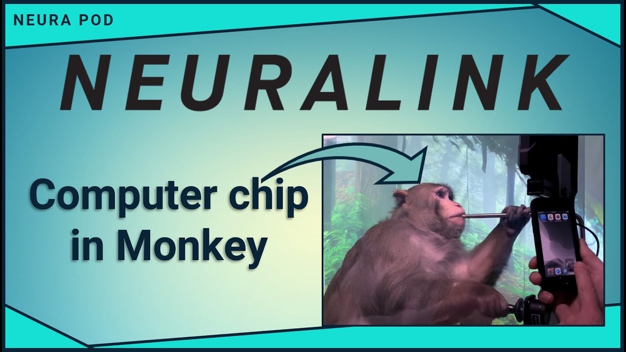 Microchip Monkey Plays Mind Pong Neuralink