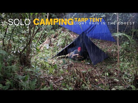 SOLO CAMPING TARP TENT, Light Rain, Cook Packed Meat with Eggs - ASMR