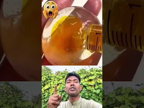 নকল ডিমে ছয়লাভ #vairlvidoe #shorts #vairal