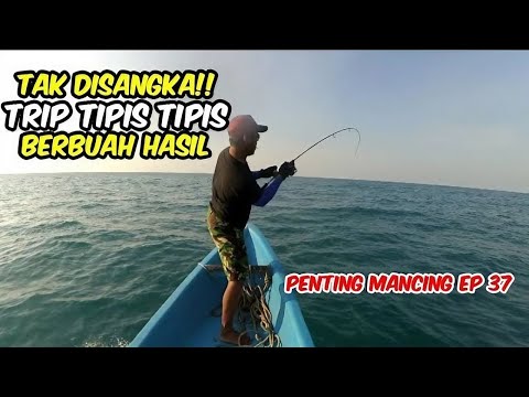 TAK DISANGKA!! Trip Tipis Tipis Ke Karang Doyong Berbuah Hasil   Penting Mancing Episode 37