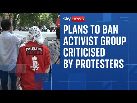Pro-Palestinian campaigners criticise government plans to ban activist group