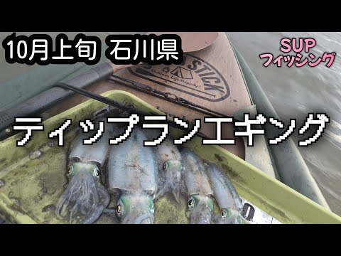 【ティップラン】SUPフィッシングでアオリイカを狙ってみた【石川県】