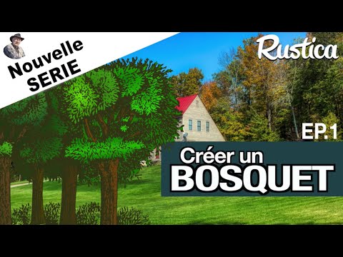 Créer un bosquet – épisode 1 : conseils avant la plantation.