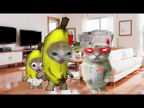 Banana Cat 🍌🐱 Life Series Compilation #42 😸🤭