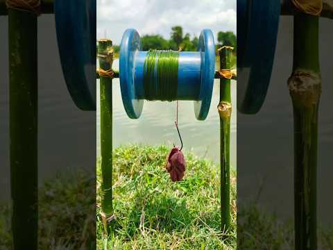 Unbelievable Best 2025 Fishing Trap. Best Fishing Technique. Viral Fishing Video. #fish #fishing