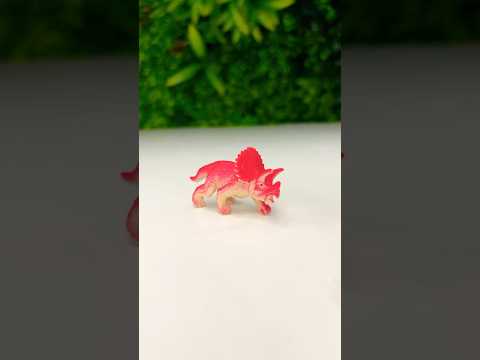Evolution of Triceratops | Dinosaur Toys