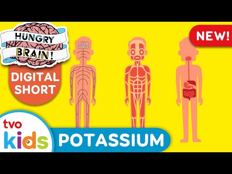 HUNGRY BRAIN 🧠 Top 5 Foods with Potassium 🍌 TVOkids