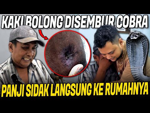 VIRAL DISEMBUR ULAR COBRA SAMPE BOLONG ?! PANJI LANGSUNG TOLONG KE RUMAHNYA