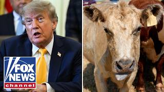 ‘TAKING ACTION’: Labor chief breaks down Trump’s push to help ranchers, farmers