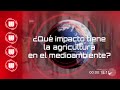 Innovación y Sostenibilidad en Agricultura