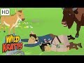 Wild Kratts Otter Adventure Questions