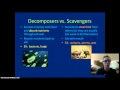 Ecology Concepts Review