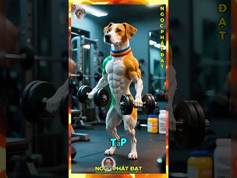 🥊🐶 Chó Pakistan vs Chó Ấn Độ – Trận Đấu Cân Não Và Cái Kết Bất Ngờ! #shorts